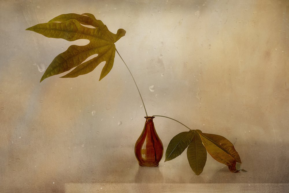 Nature morte aux feuilles dorées - Elena Arjona