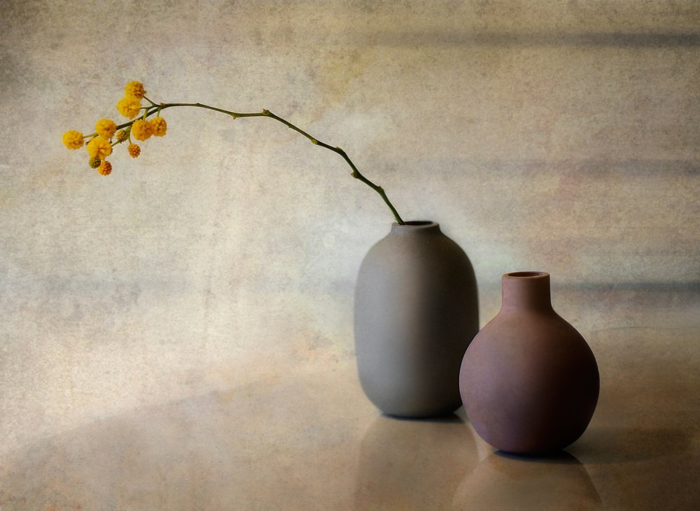 Vases floraux minimalistes - Elena Arjona