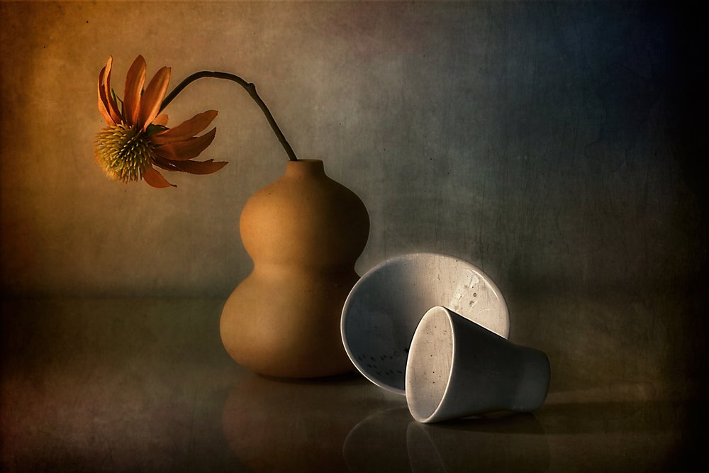 Réflexion sur une nature morte mélancolique - Elena Arjona