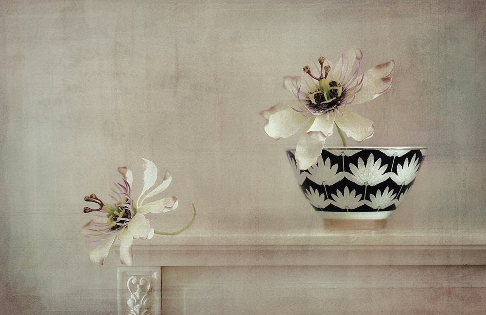 Nature morte à la passiflore - Elena Arjona