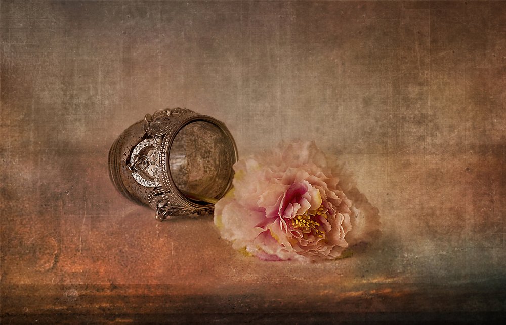 Pivoine rose et souvenir - Elena Arjona