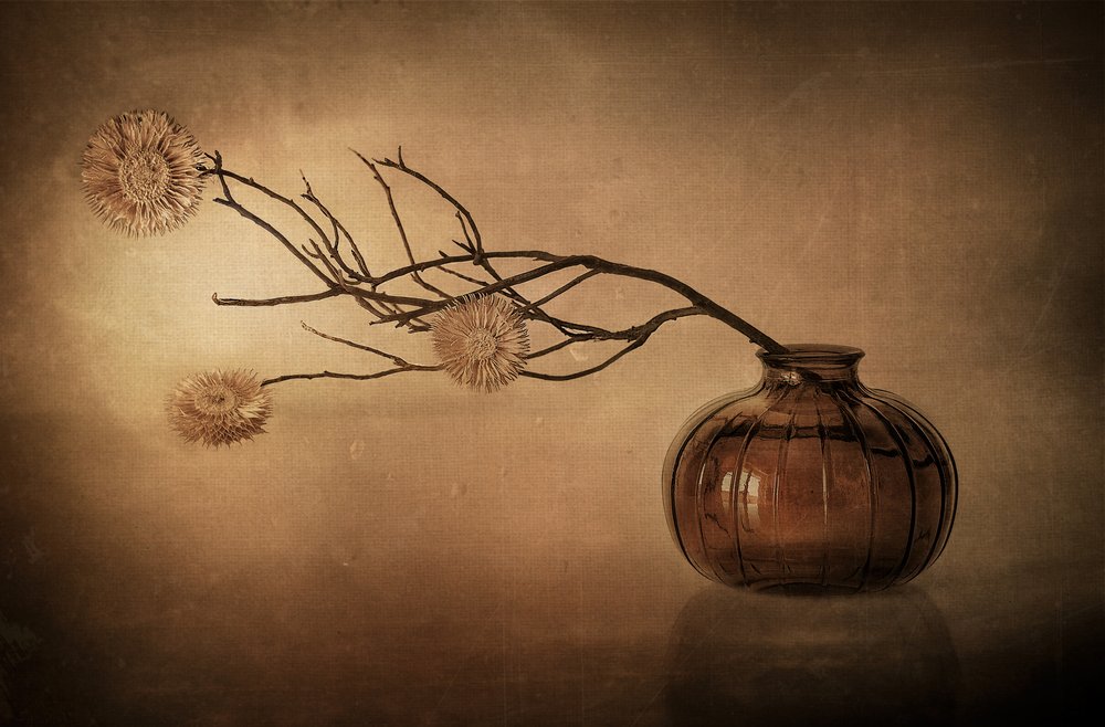 Nature morte avec un vase rustique - Elena Arjona