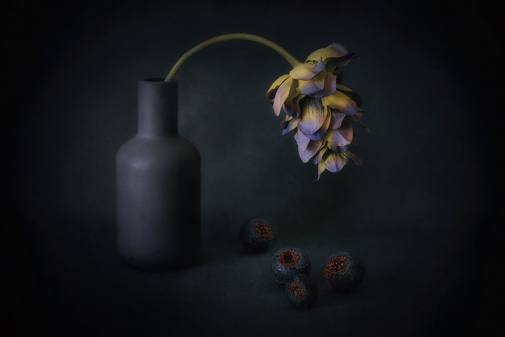 Fleurs et baies à l