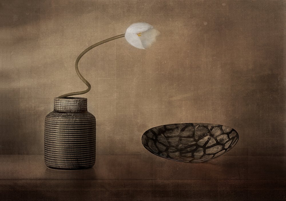 Nature morte aux fleurs blanches - Elena Arjona