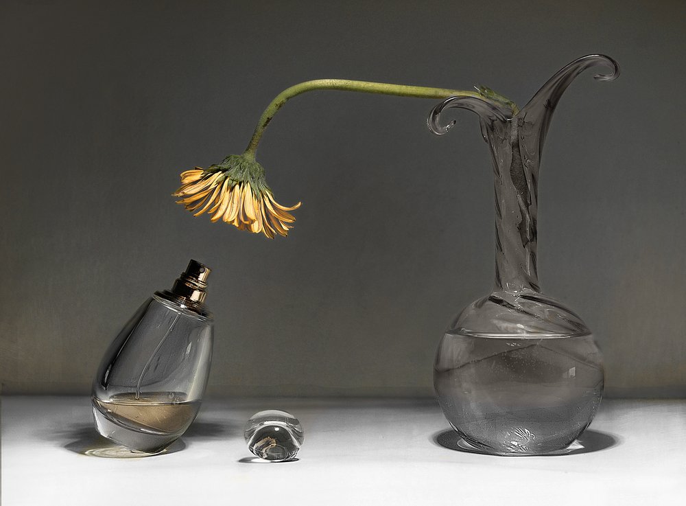 Nature morte aux fleurs fanées - Elena Arjona