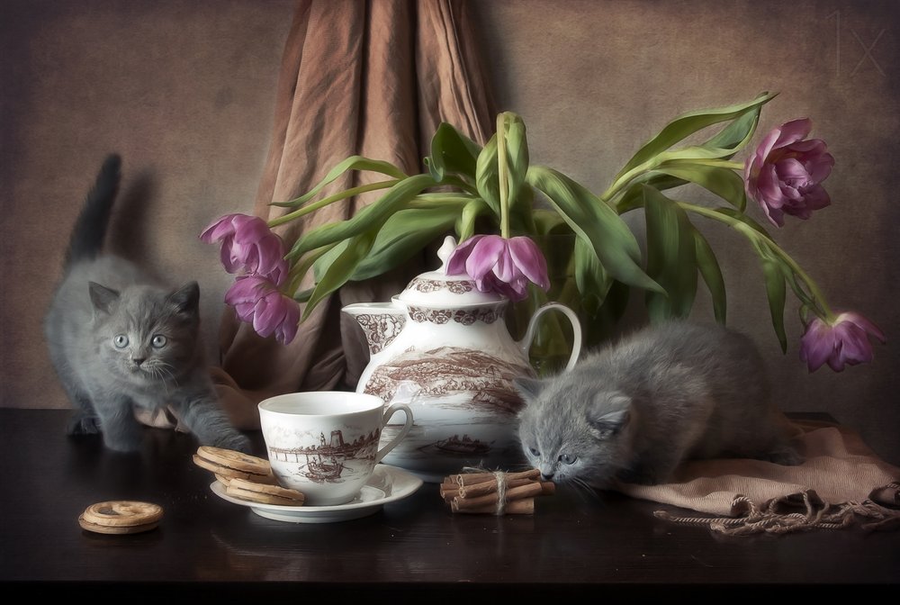  - Eleonora Grigorjeva