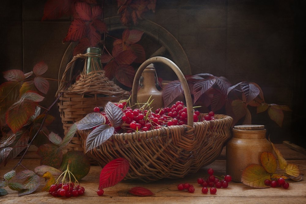 Nature morte avec des branches et des baies d