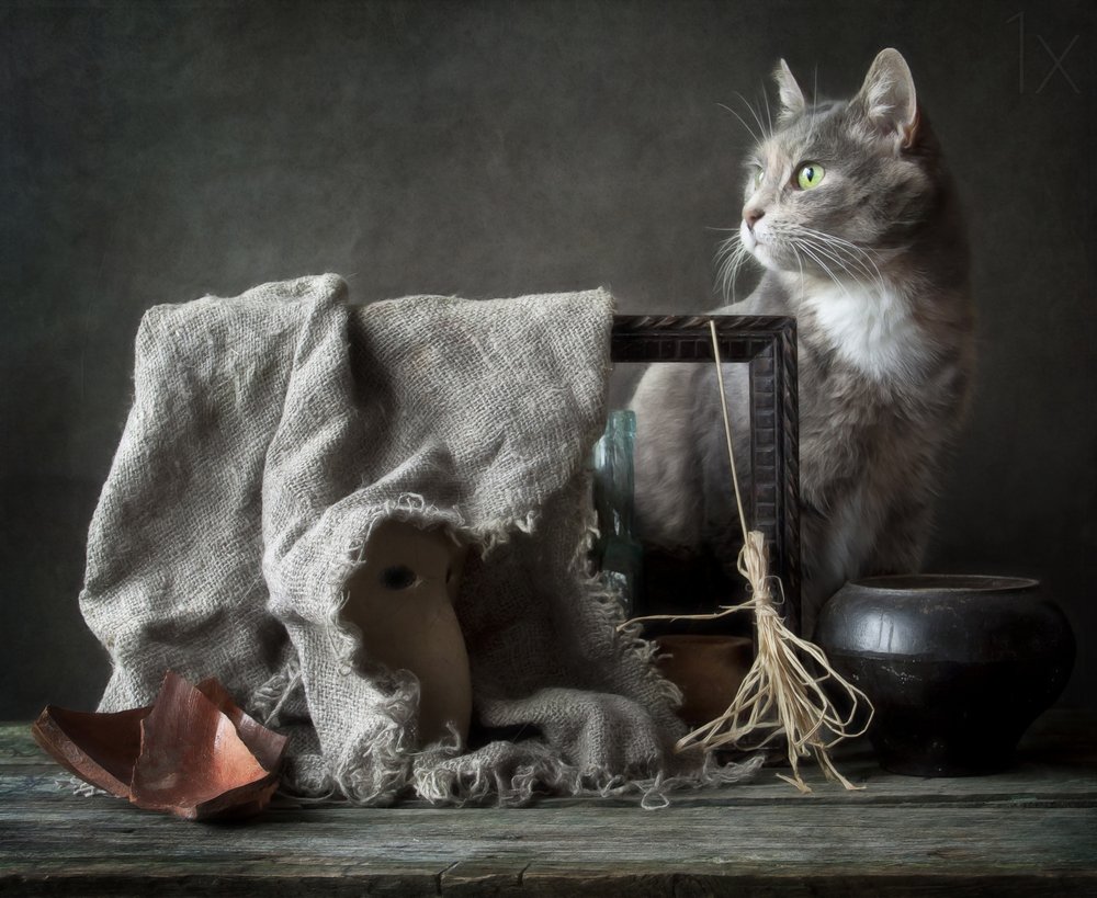  - Eleonora Grigorjeva