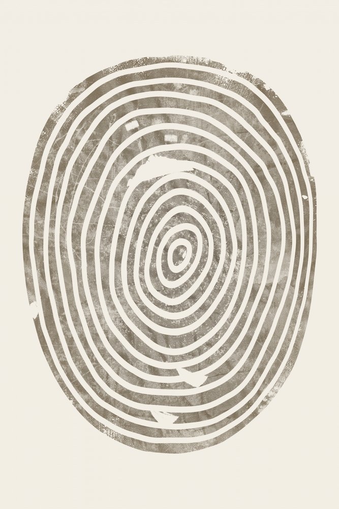 Anneaux concentriques de bois - Ema Paraschiv
