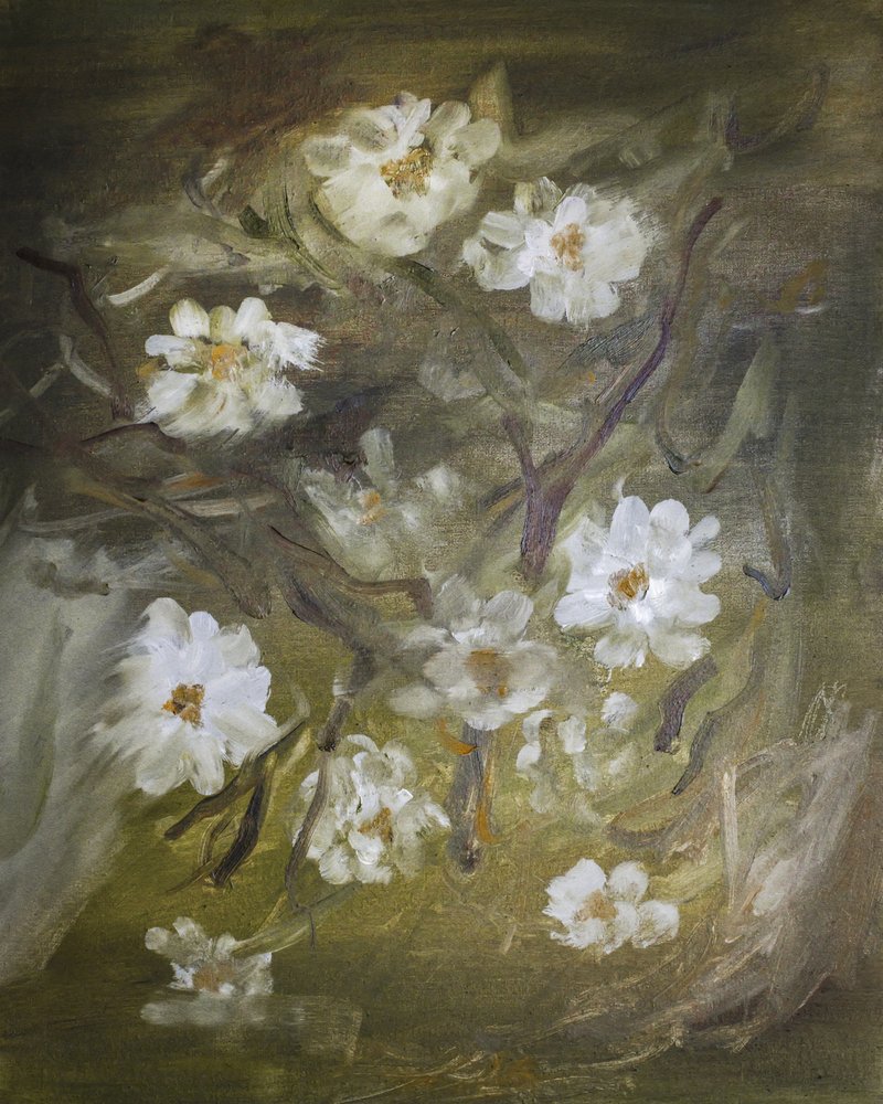 Fleurs blanches délicates - Emily Tingey
