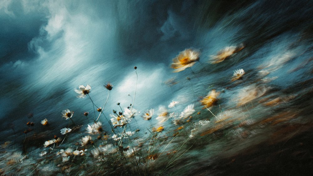 Fleurs sauvages dans la tempête - Erkan Camlilar