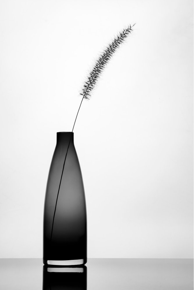  - Eyal Amer