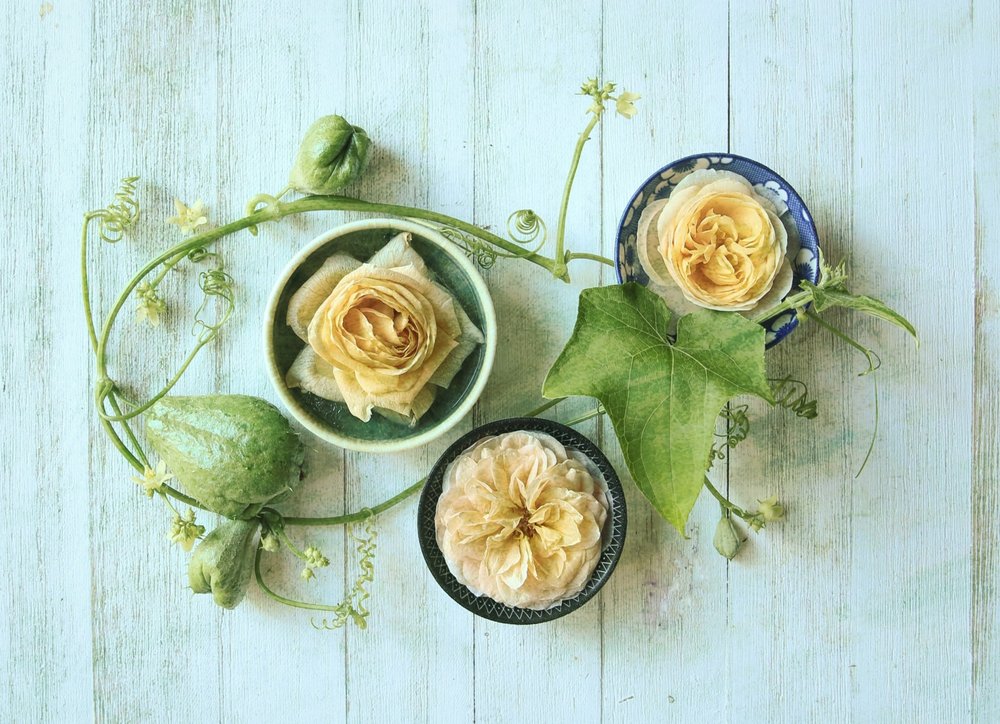 Courges roses pastel - Fangping Zhou
