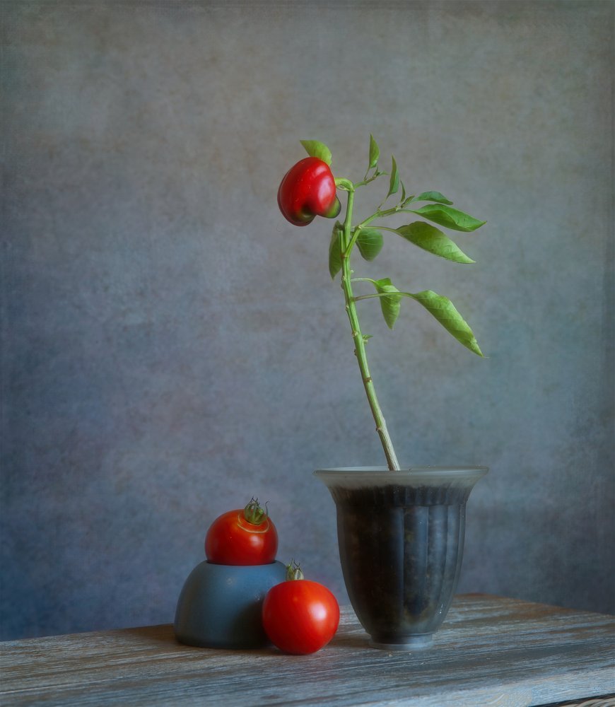 Nature morte au poivron rouge - Fangping Zhou