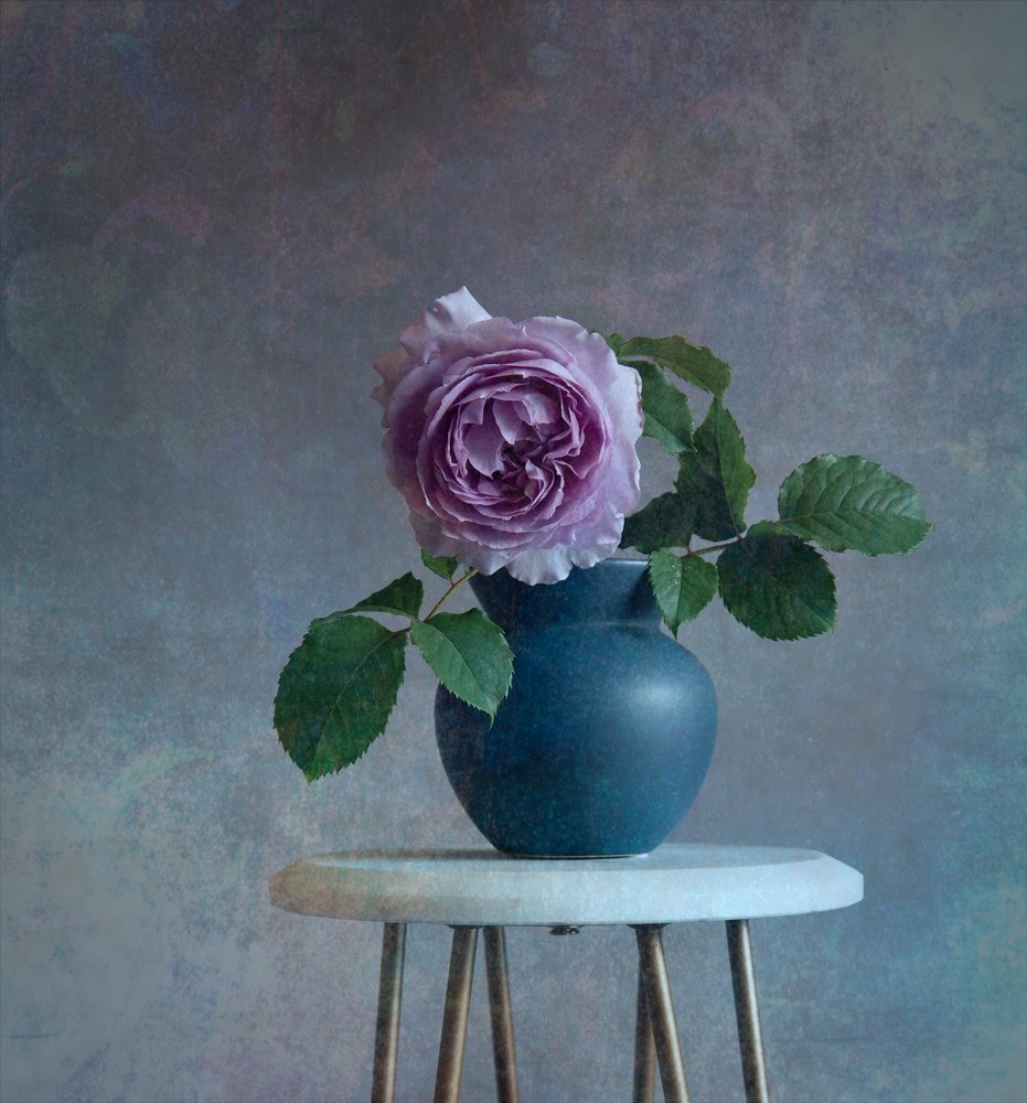 Rose violette sereine - Fangping Zhou