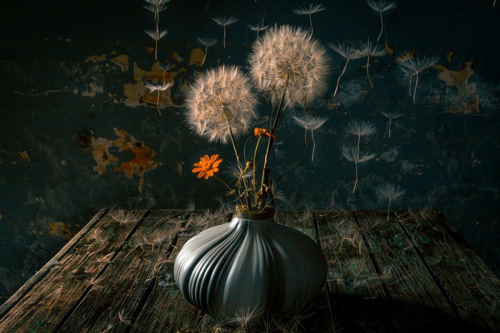 Nature morte au pissenlit mélancolique - Farid Kazamil