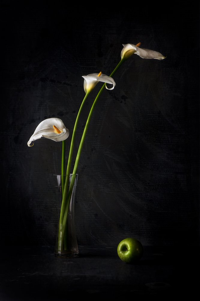  - Felice Angelino
