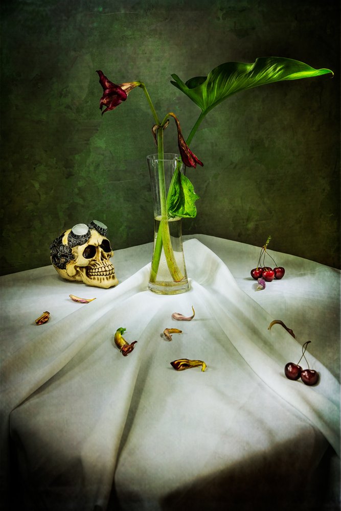Vanitas au crâne gothique - Felice Angelino
