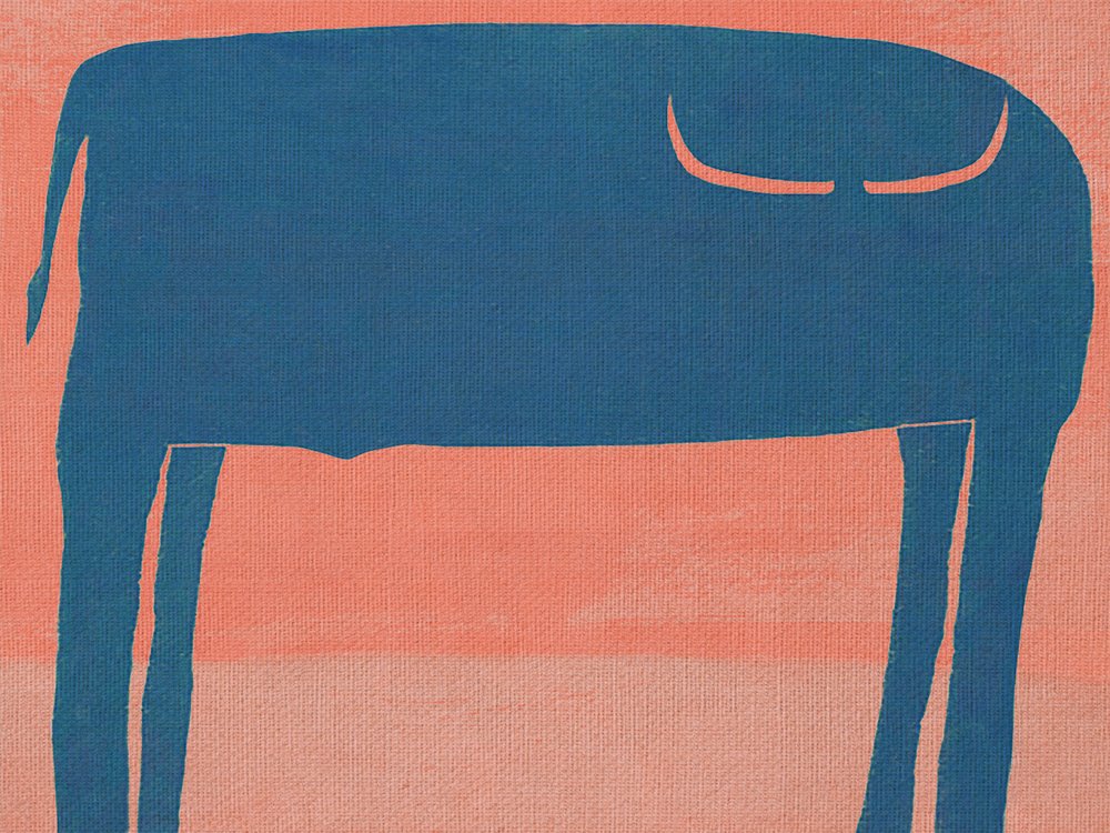 Bœuf bleu sur pêche - Fernando Vieira