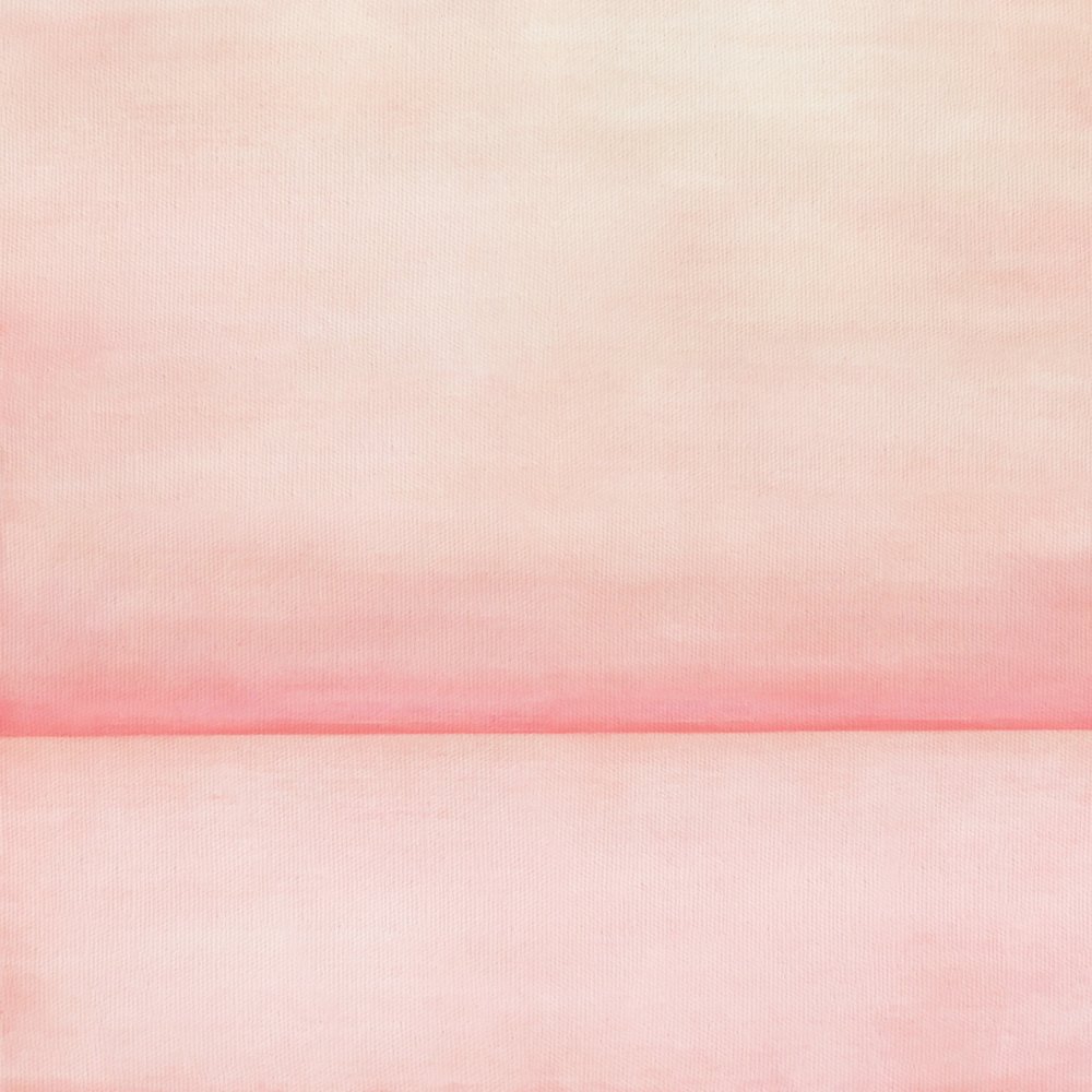 Doux horizon rose - Fernando Vieira