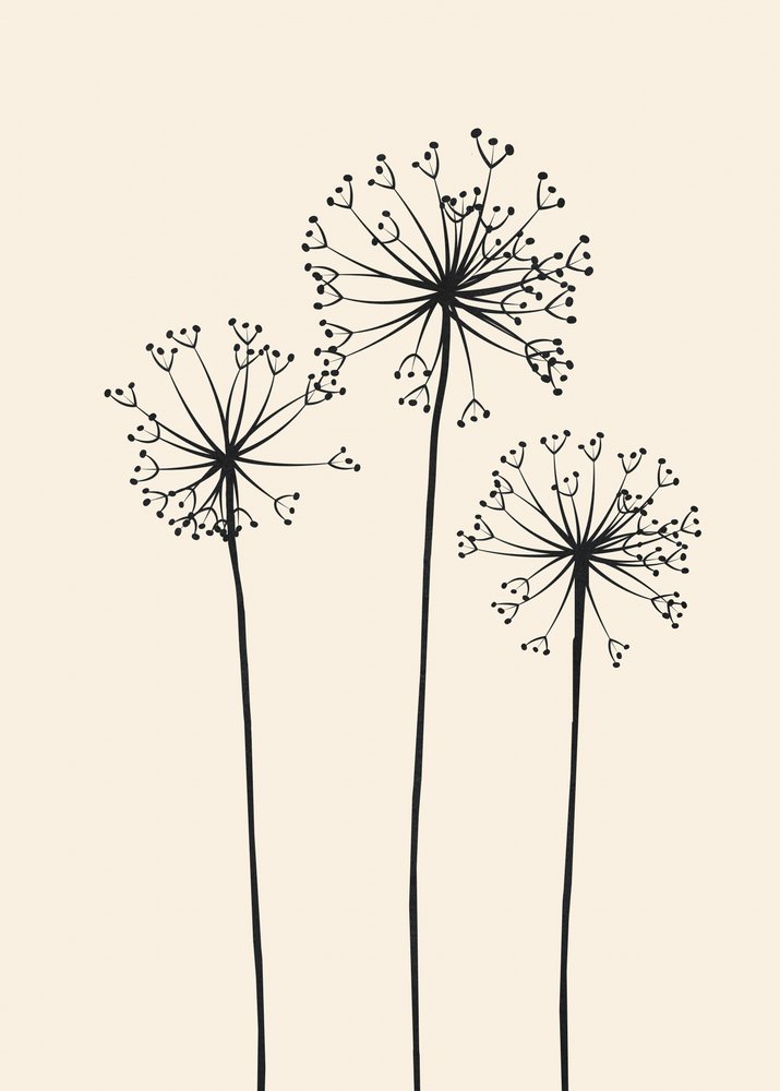 Fleurs de pissenlit minimalistes - Flow Line