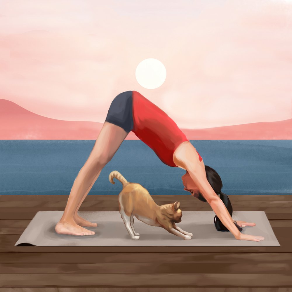 Le chat du yoga au lever du soleil - Flow Line