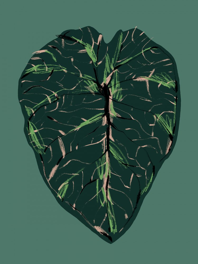  - Francesco Gulina