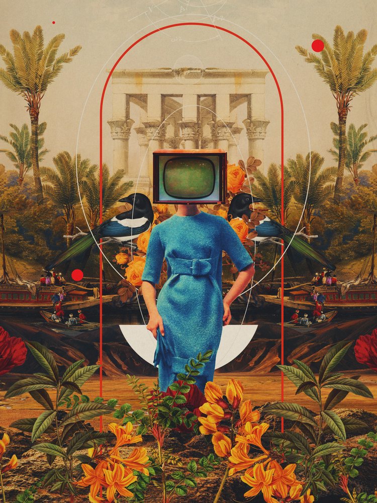 Ses asymétries - Frank Moth
