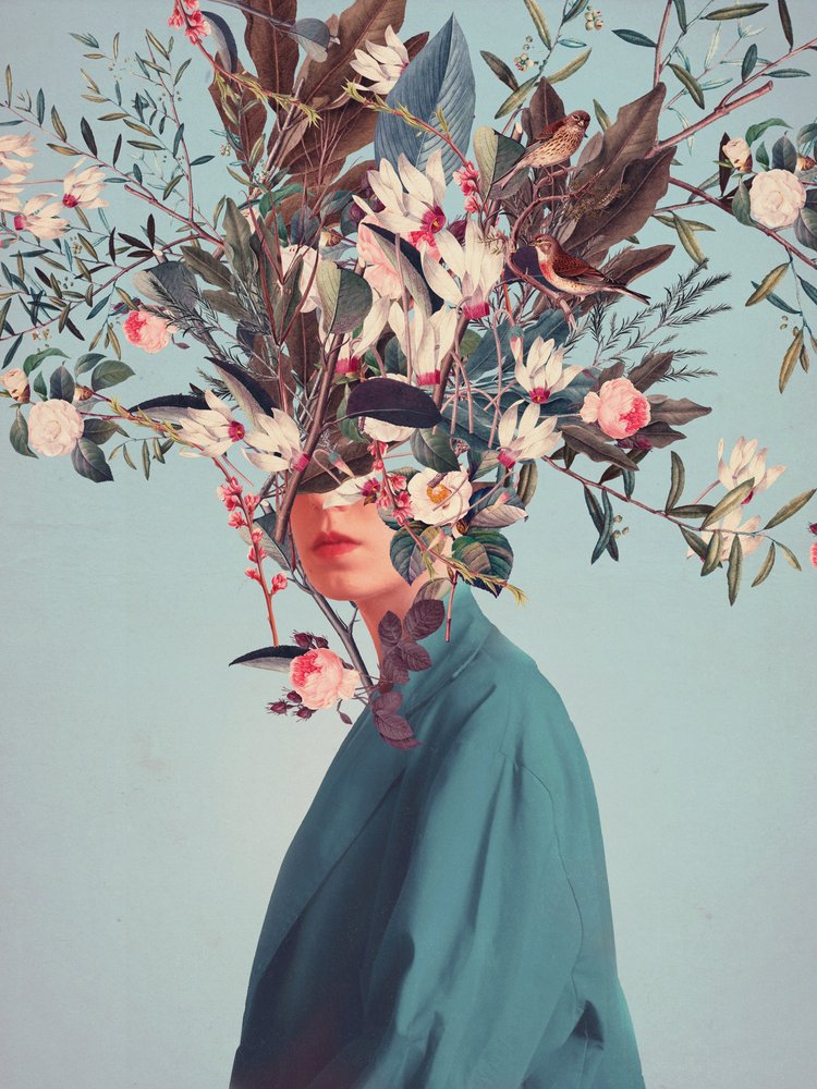  - Frank Moth