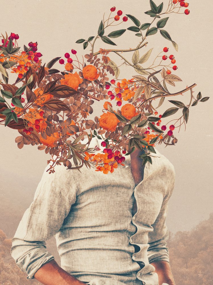  - Frank Moth