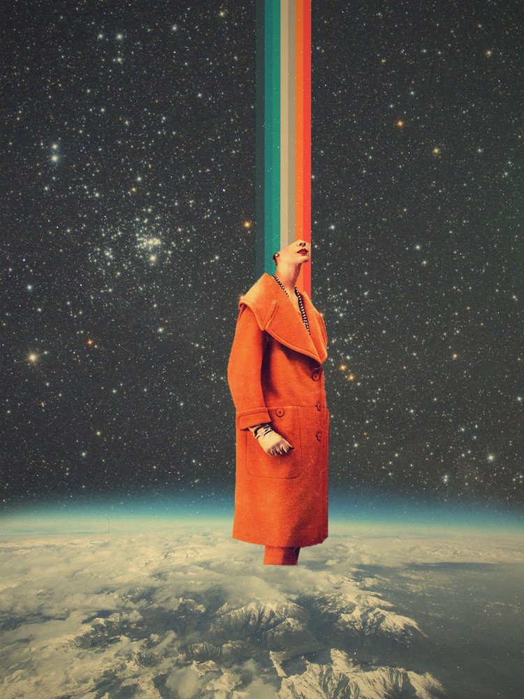  - Frank Moth