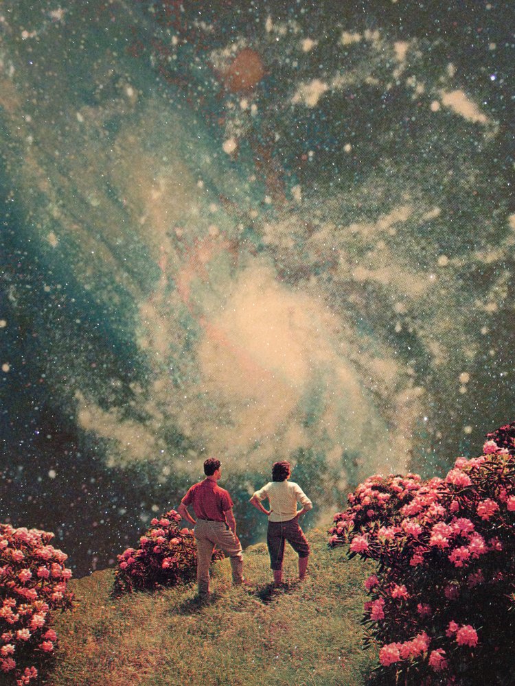  - Frank Moth