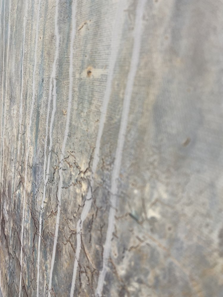  - Gabriela Aleksandra Szuba