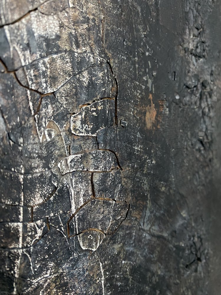  - Gabriela Aleksandra Szuba