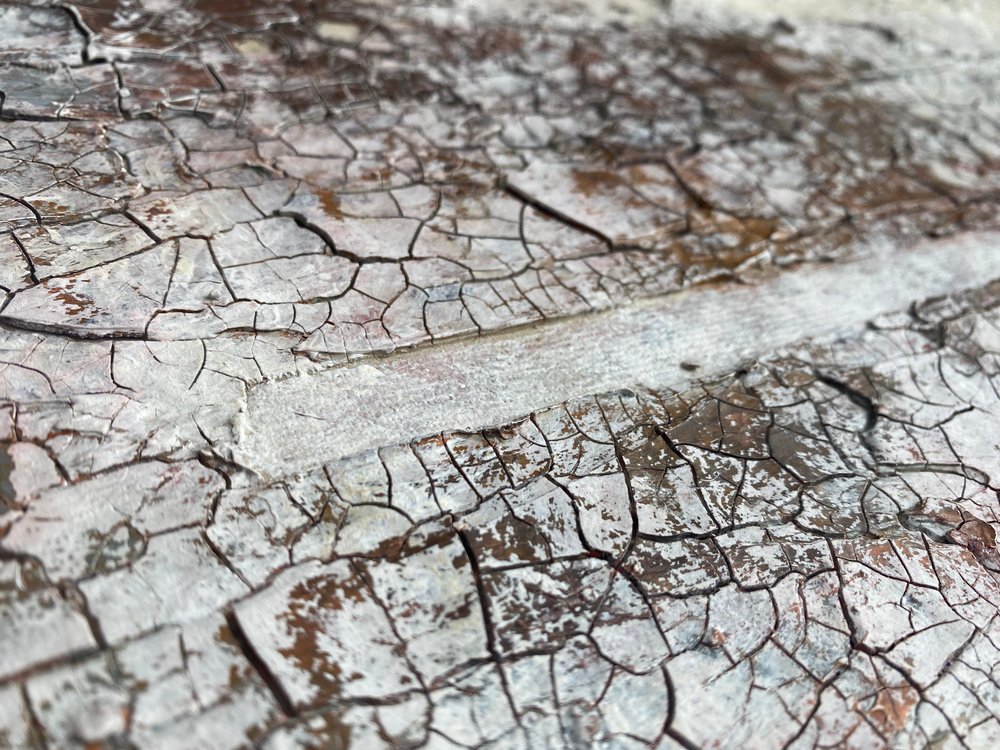  - Gabriela Aleksandra Szuba