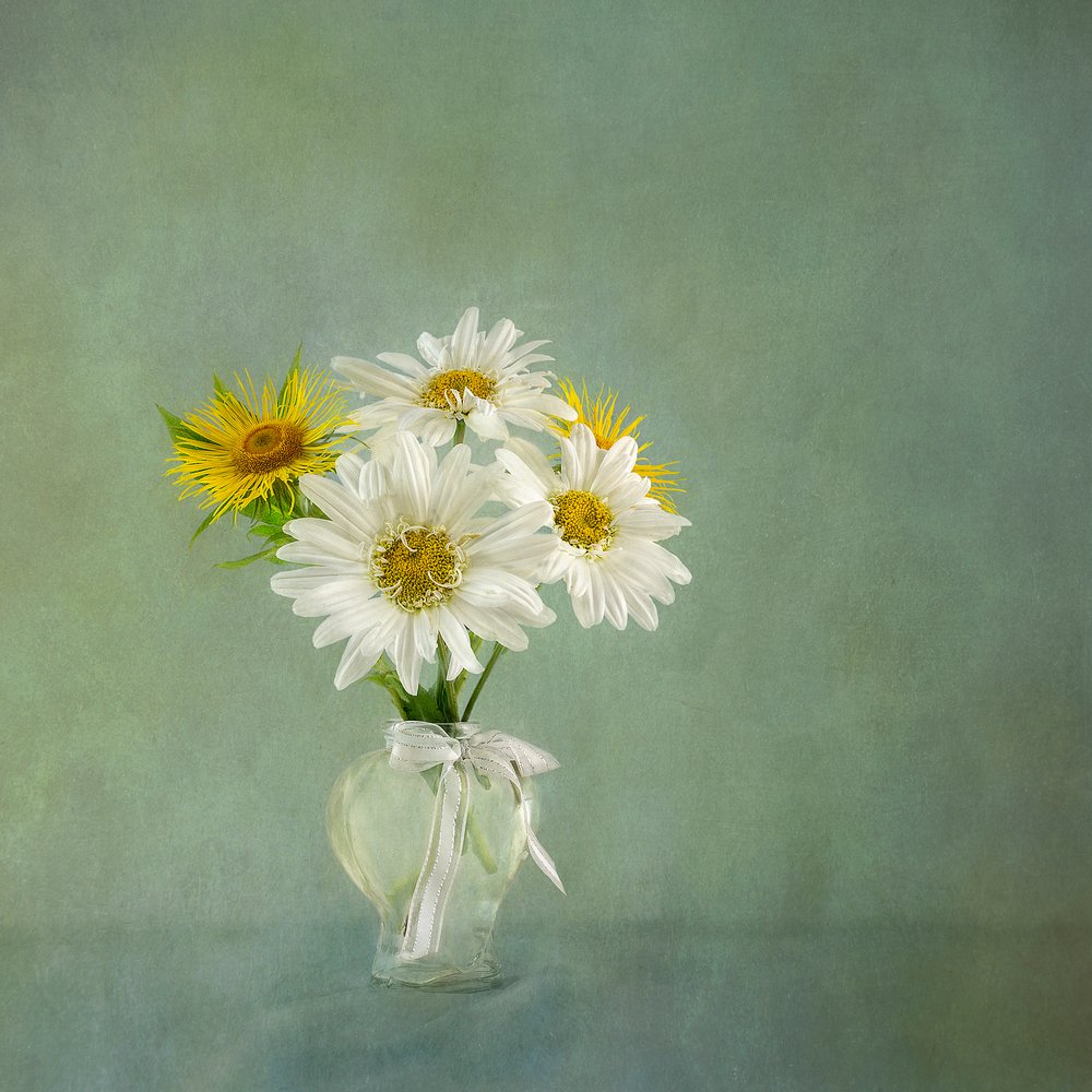  - Gaille Gray