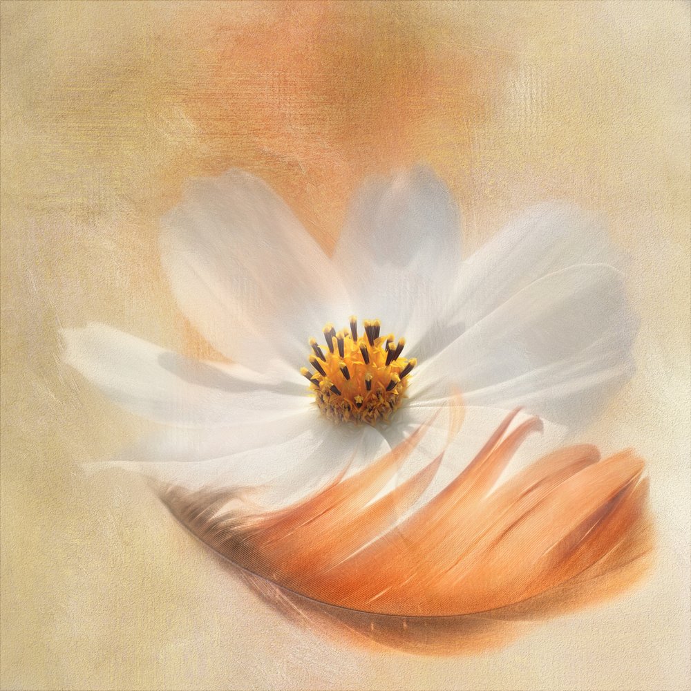  - Gaille Gray