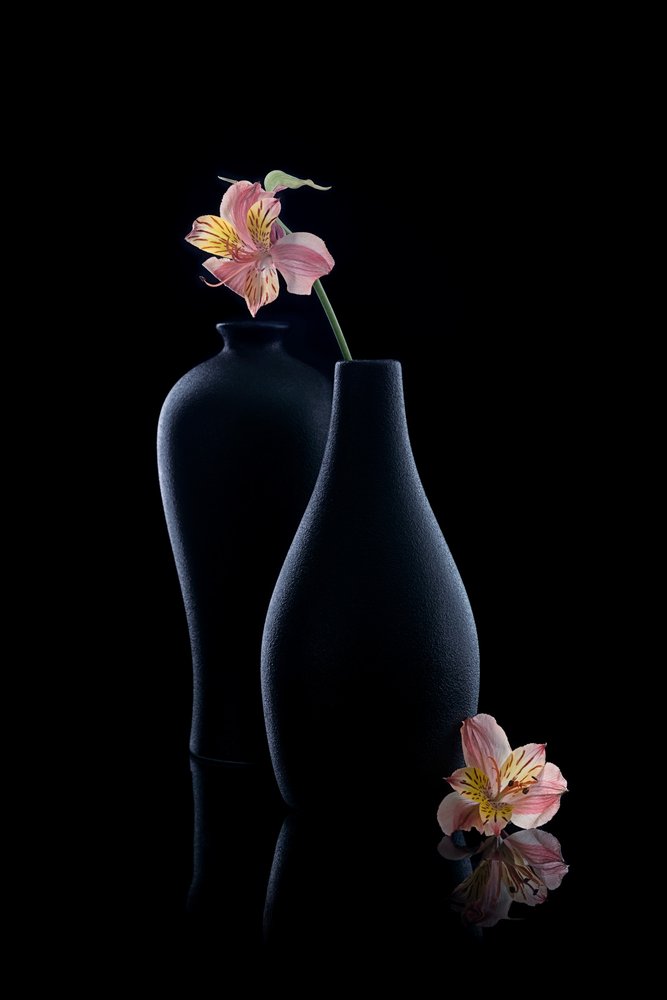 Élégantes alstroémères dans des vases - GaoSL