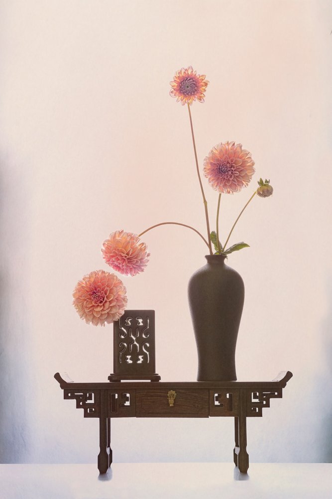 Une composition élégante de dahlias - GaoSL