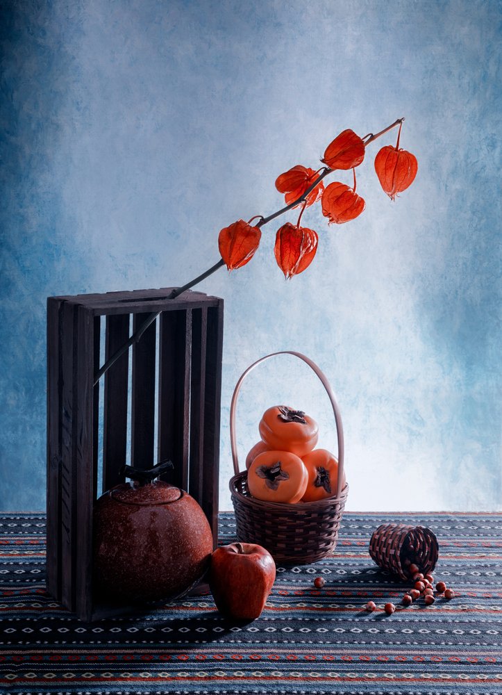Fruits - GaoSL