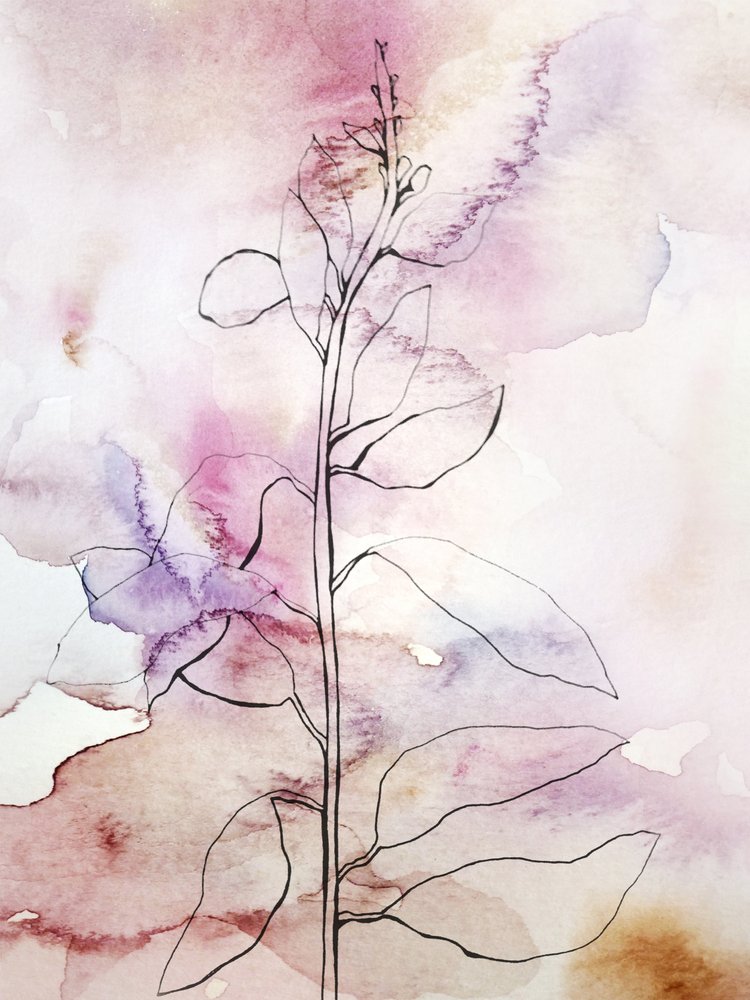 Aquarelle botanique rose - Gemma Bardot