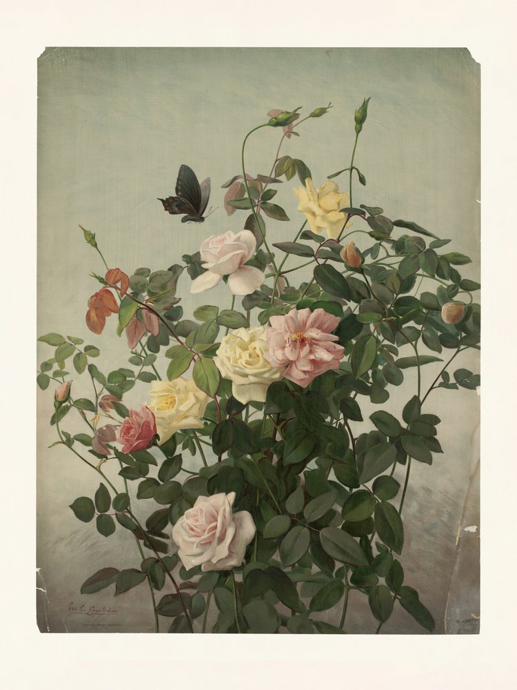  - George Cochran Lambdin