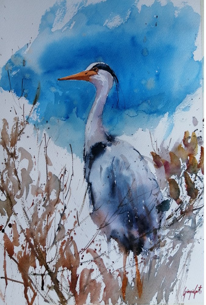 Aquarelle « Blue Heron » - Giorgio Gosti