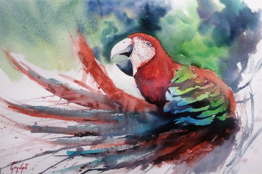 Ara de la jungle aux couleurs vives - Giorgio Gosti