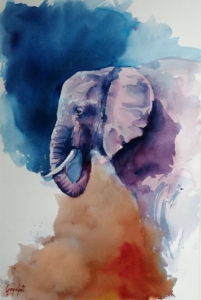 Éléphant : couleurs abstraites - Giorgio Gosti