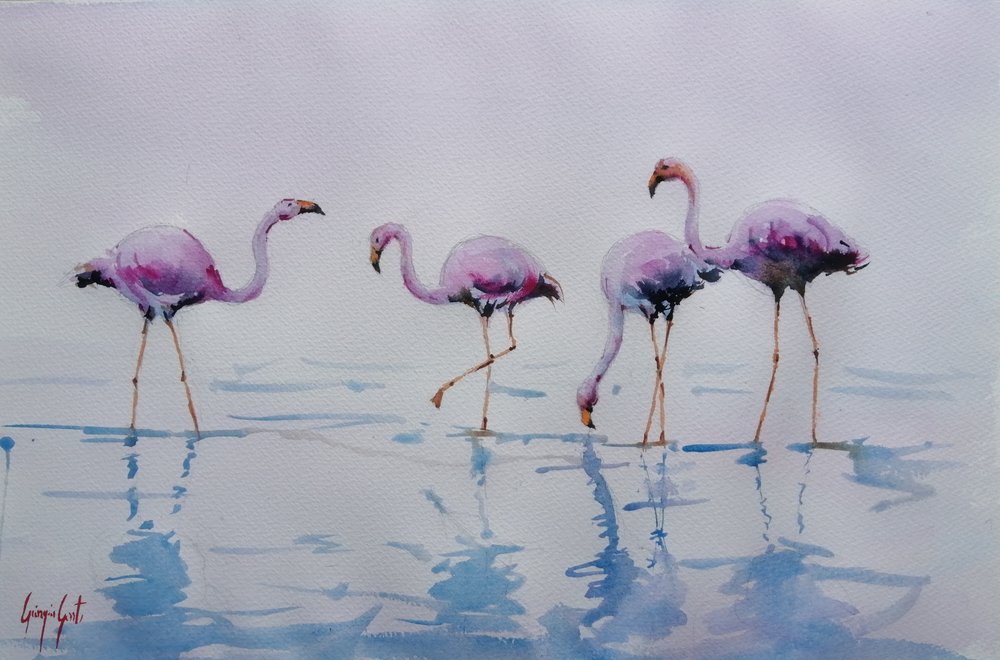 Des flamants roses pataugent - Giorgio Gosti
