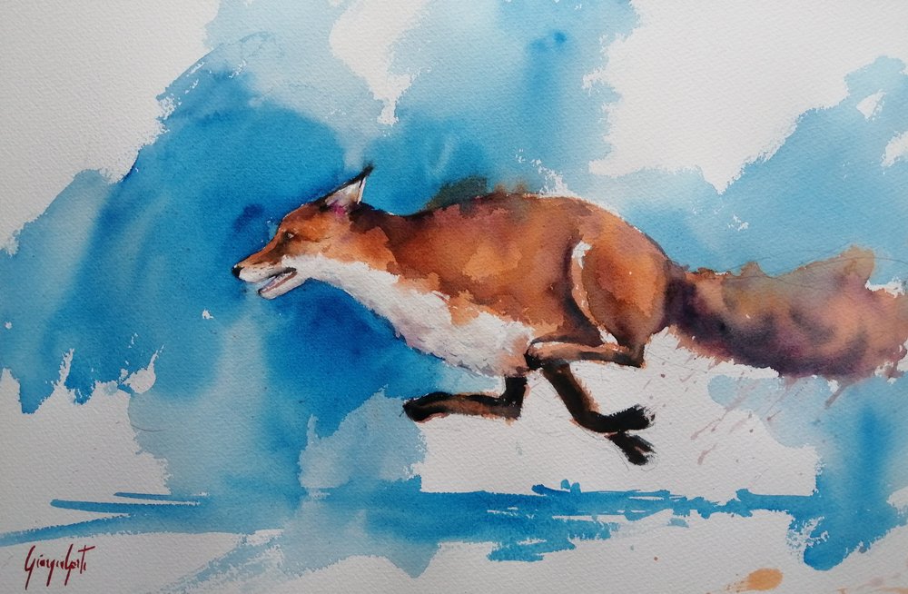 Le sprint du renard rapide - Giorgio Gosti