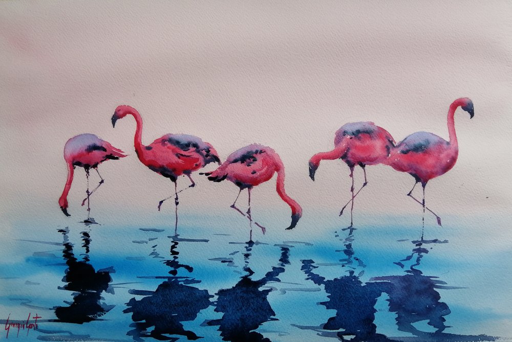 Des flamants roses pataugeant - Giorgio Gosti