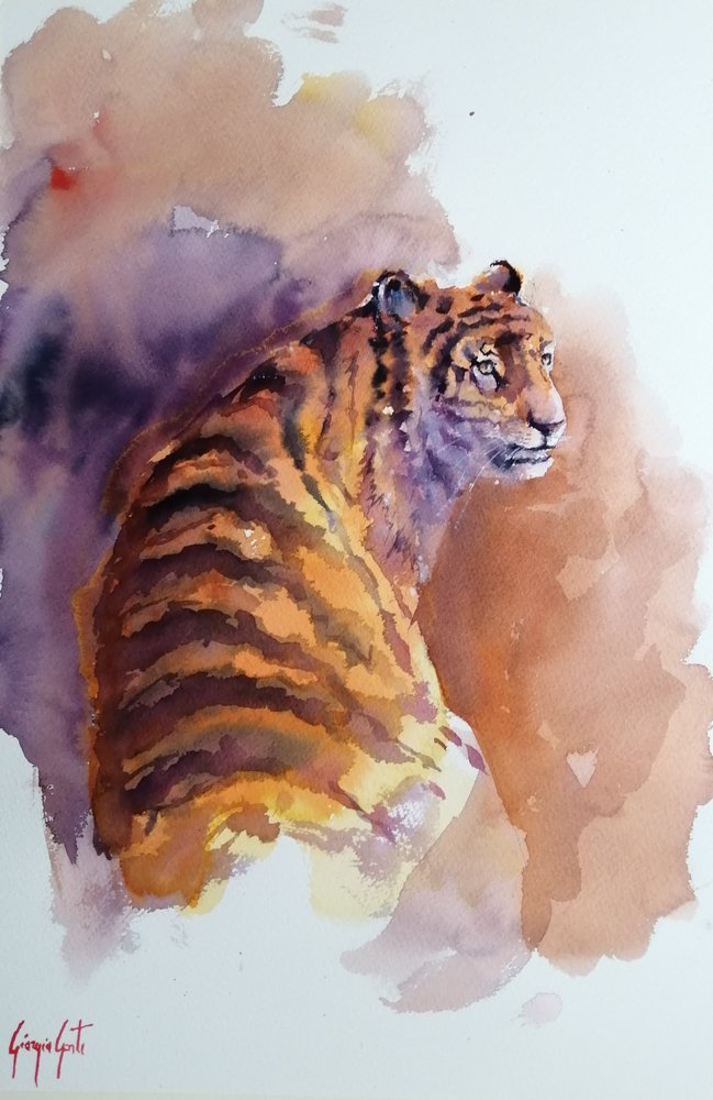 tigre 6 - Giorgio Gosti