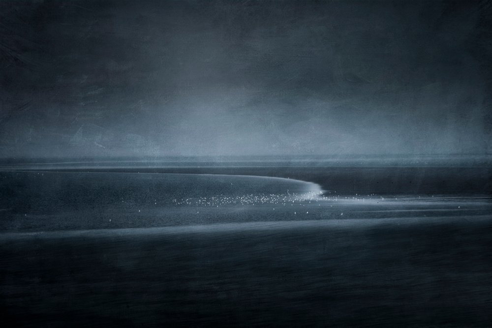 Les oiseaux du littoral au crépuscule - Greetje van Son
